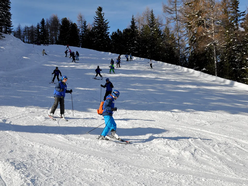 Mehrere Fahrende auf einem sonnigen Hang am Waldrand.